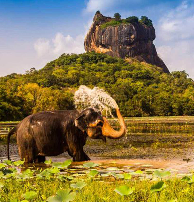 Bentota & Colombo Package