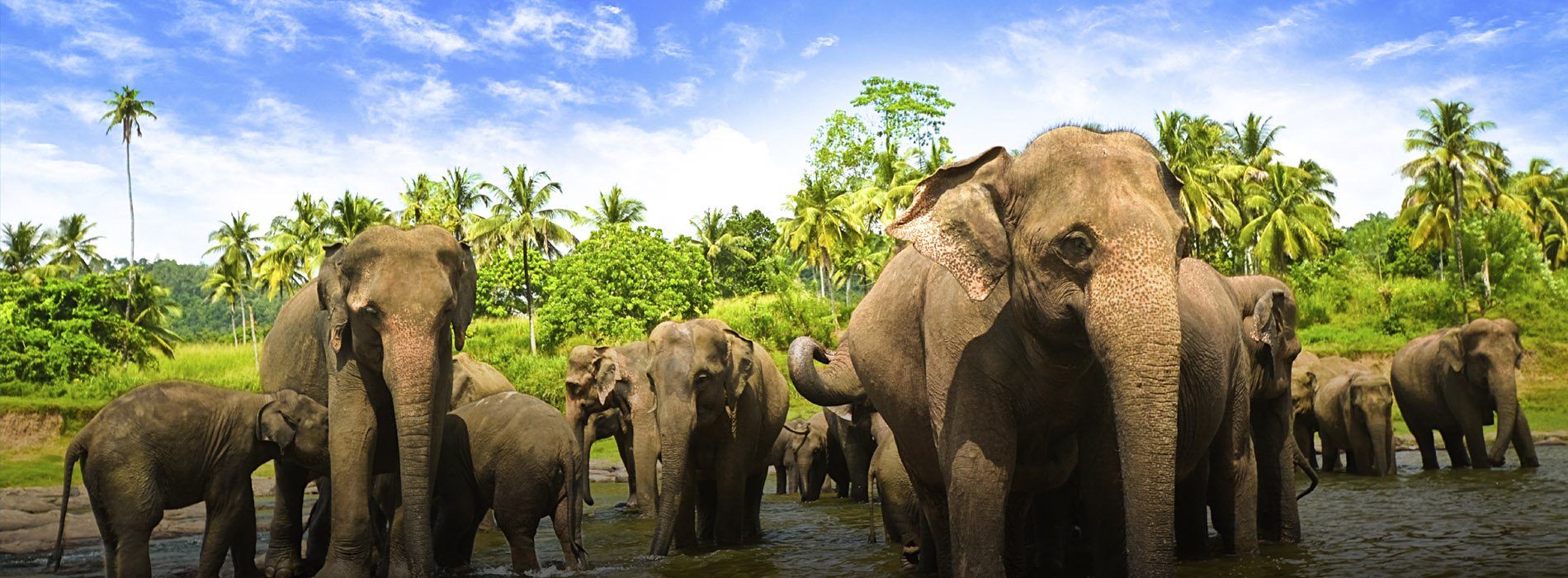 Bentota & Colombo Package