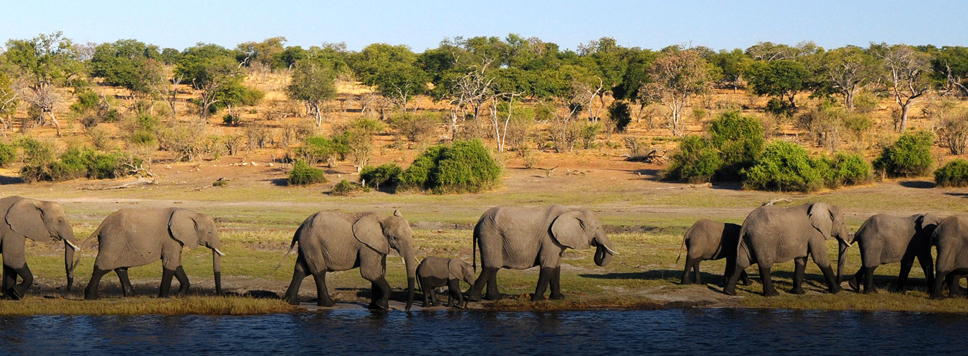 Botswana Tour Packages