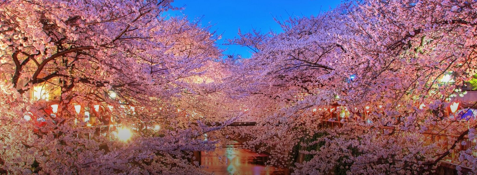 Japan Tour Package