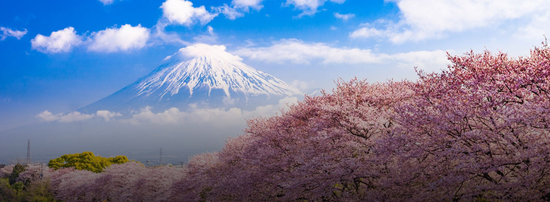 Japan Tour Packages