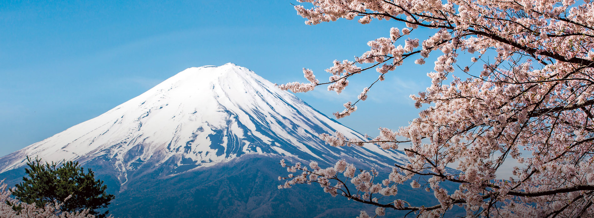 Splendors of Japan