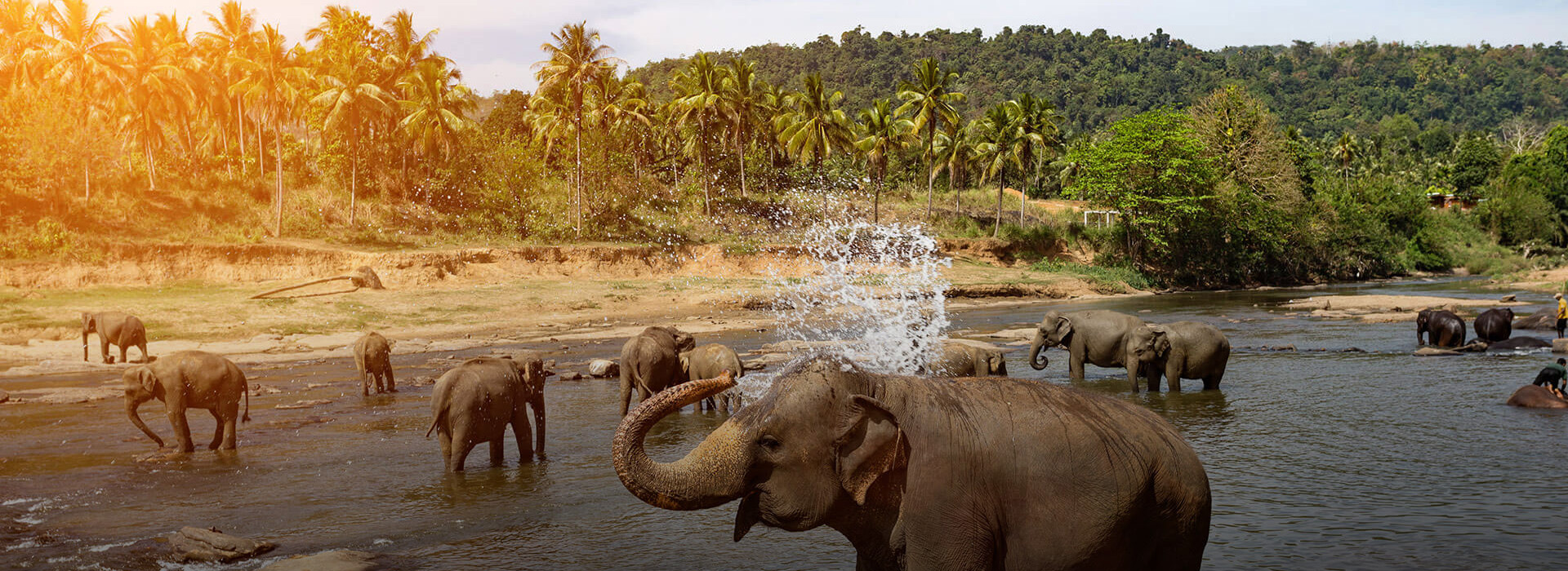 Sri Lanka Tour Packages