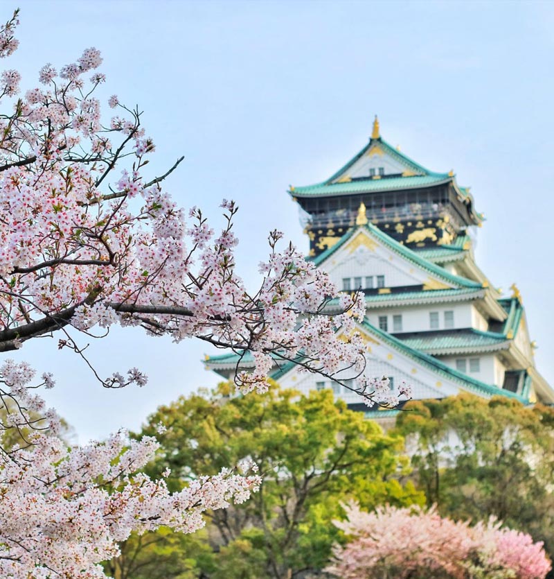 Japan Tour Package