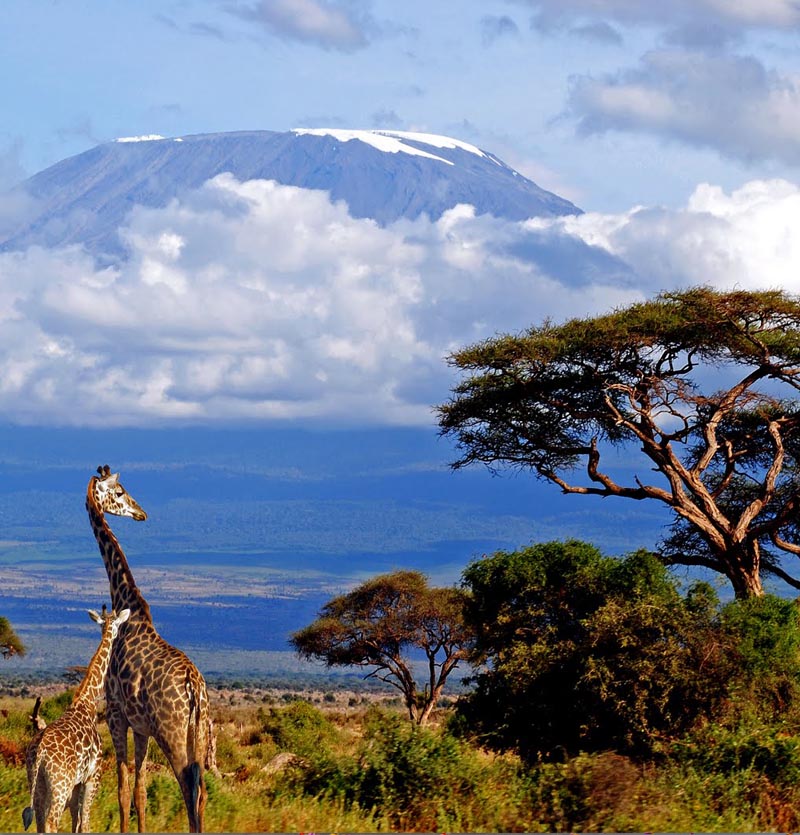 Kenya Tour Package