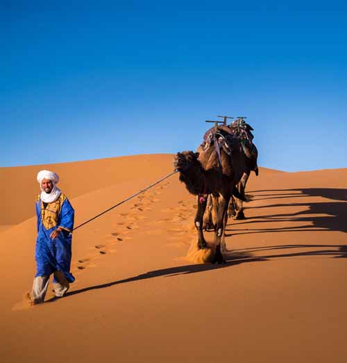 Best of Marrakech & Casablancaon