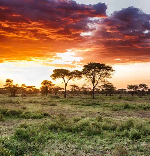 Tanzania Honeymoon Trip