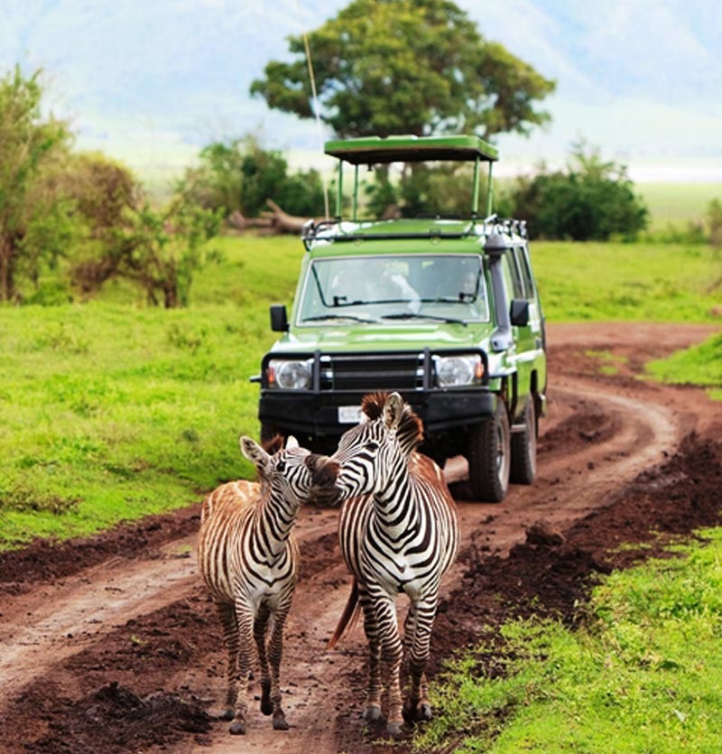 Watamu Tour Package